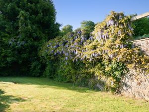 Photo 37- click for photo gallery